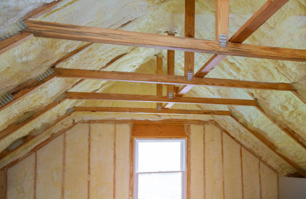 Best Residential Insulation Services  in Silverthorne, CO