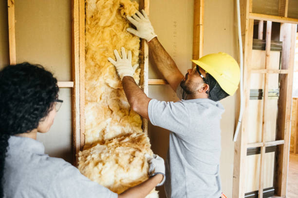 Best Energy-efficient Insulation  in Silverthorne, CO